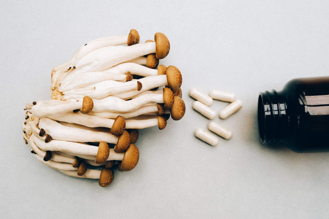 Nature Made These. We Just Put Them in a Bottle.