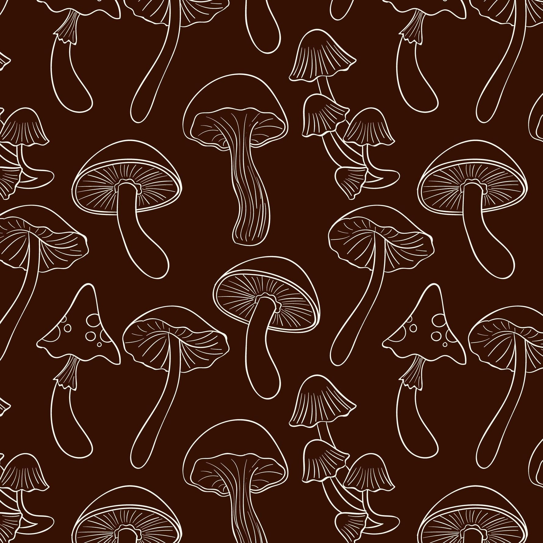 Mushrooms Are Having a Moment (For a Reason)