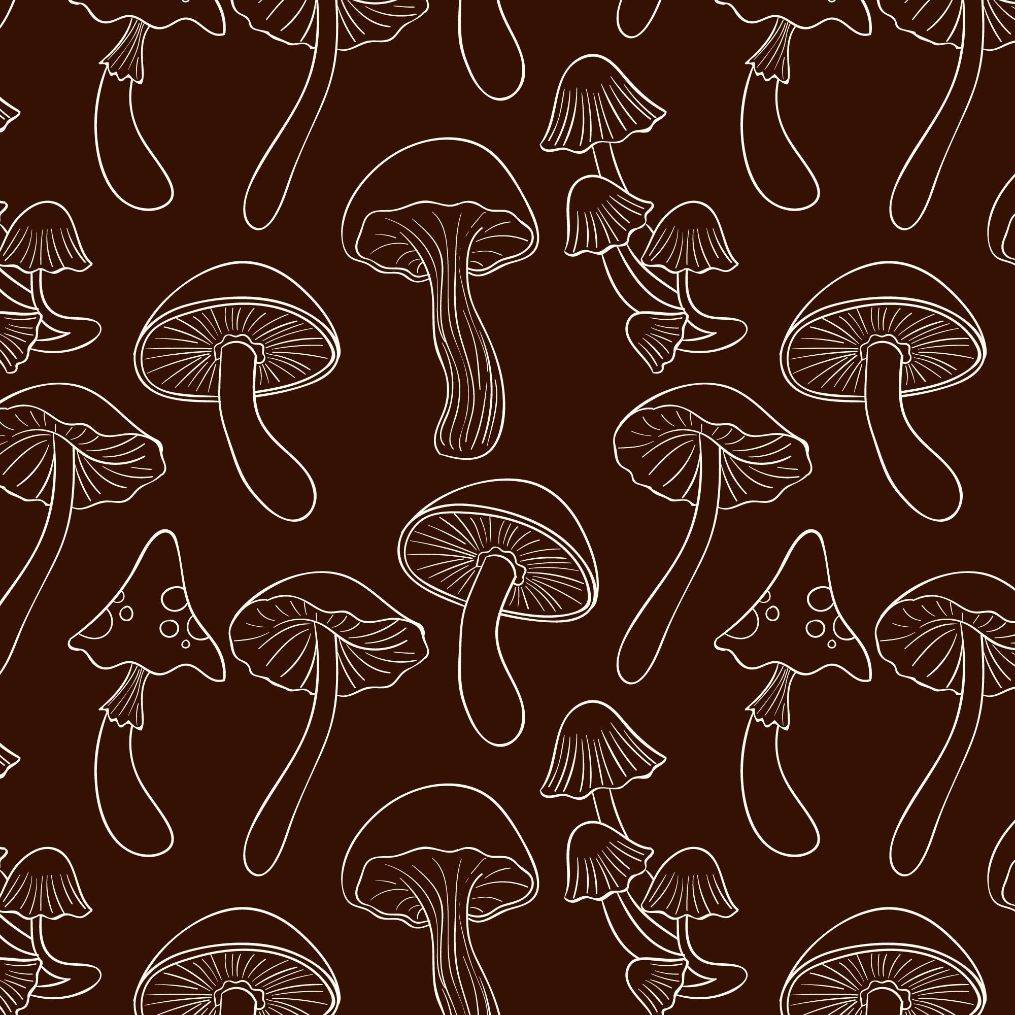 Mushrooms Are Having a Moment (For a Reason)