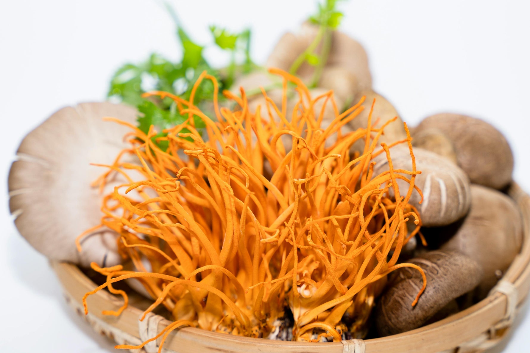 Boost Your Energy Naturally with Cordyceps Mushrooms