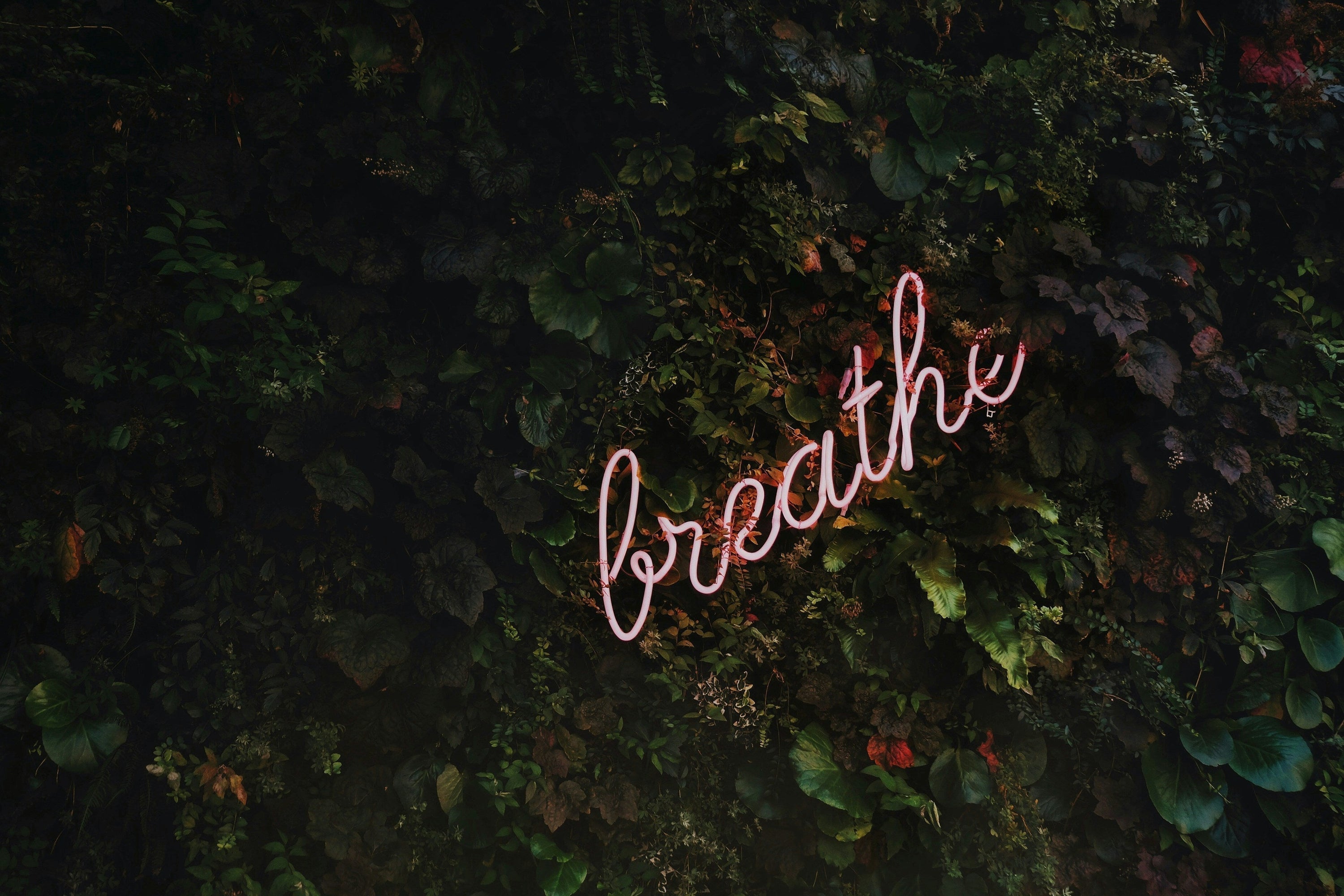 Stress Less: Natural Remedies to Keep You Calm