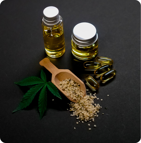 Gut Check: Natural Ways to Support Your Microbiome