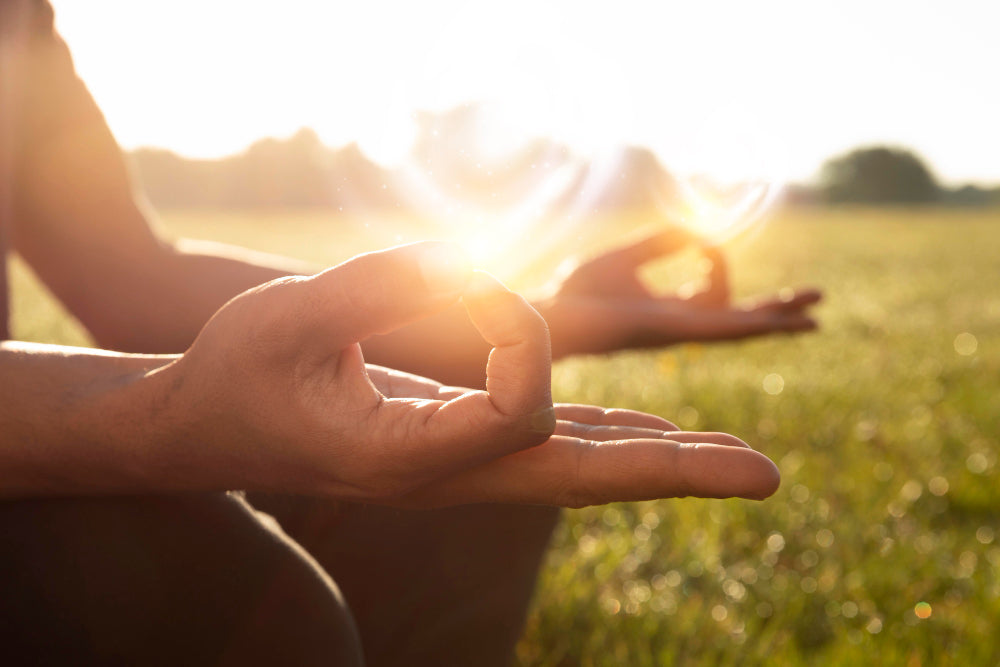 The Busy Person’s Guide to Natural Wellness with Mushrooms