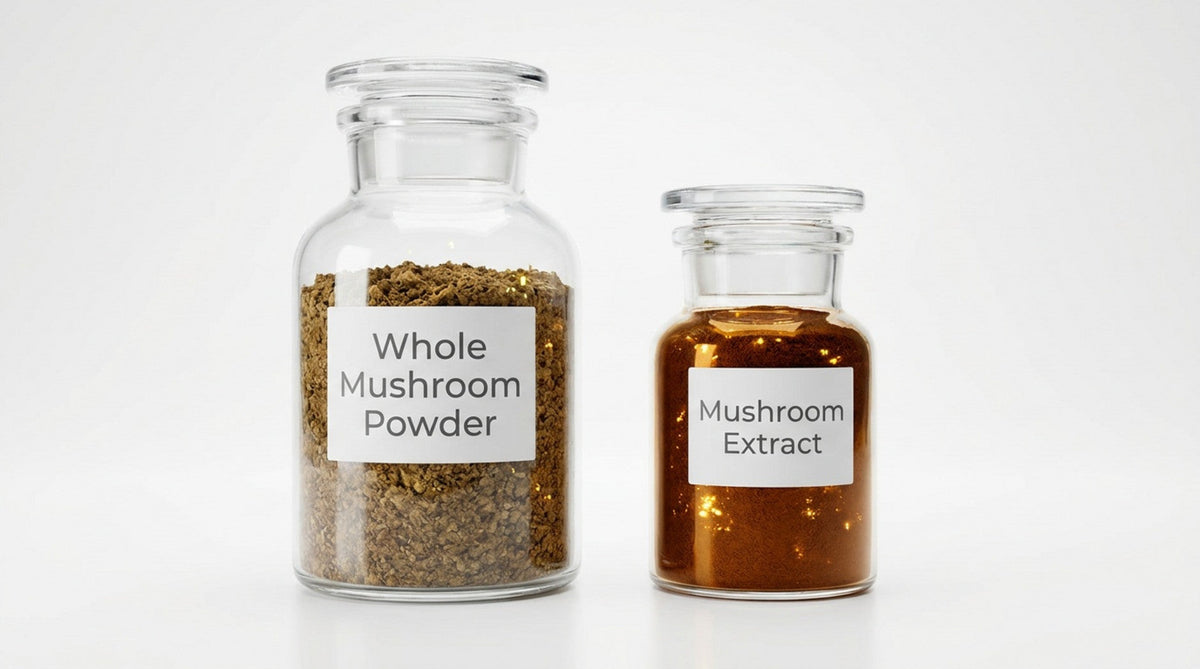 Mushroom Extracts vs. Mushroom Powder: What's the Difference?